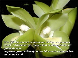 Si je t'ai déjà envoyé ce message, eh bien excuse-moi...
c'est l’’ Alzheimer qui, malgré tant de précautions, me
guette de près...
Je pense quand même qu'on se fait mourir à vouloir être
en bonne santé.

 