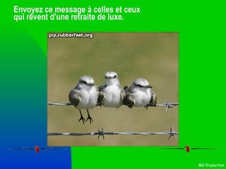 Envoyez ce message à celles et ceux  qui rêvent d'une retraite de luxe. 