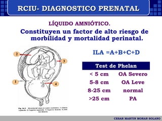 Phelan Normal Retraso del crecimiento intrauterino | PPT