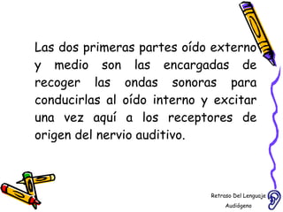 Las dos primeras partes oído externo y medio son las encargadas de recoger las ondas sonoras para conducirlas al oído interno y excitar una vez aquí a los receptores de origen del nervio auditivo. Retraso Del Lenguaje Audiógeno  