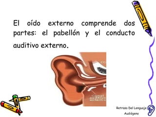 El oído externo comprende dos partes: el pabellón y el conducto auditivo externo . Retraso Del Lenguaje Audiógeno  