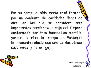 Por su parte, el oído medio está formado por un conjunto de cavidades llenas de aire, en las que se considera tres importantes porciones: la caja del tímpano conformada por tres huesecillos martillo, yunque, estribo, la trompa de Eustaquio íntimamente relacionada con las vías aéreas superiores (rinofaringe).  Retraso Del Lenguaje Audiógeno  