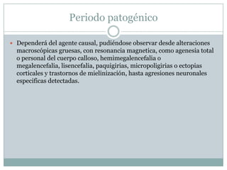 Periodo patogénicoDependerá del agente causal, pudiéndose observar desde alteraciones macroscópicas gruesas, con resonancia magnetica, como agenesia total o personal del cuerpo calloso, hemimegalencefalia o megalencefalia, lisencefalia, paquigirias, micropoligirias o ectopias corticales y trastornos de mielinización, hasta agresiones neuronales especificas detectadas.