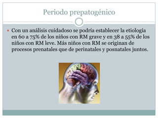 Periodo prepatogénicoCon un análisis cuidadoso se podría establecer la etiología en 60 a 75% de los niños con RM grave y en 38 a 55% de los niños con RM leve. Más niños con RM se originan de procesos prenatales que de perinatales y posnatales juntos.