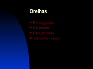 Orelhas Puntiagudas De a bano Pequen inhas Tamanho médio 