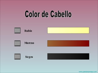 Rubio Moreno Negro Color de Cabello 