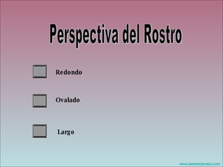 Perspectiva del Rostro Redondo Ovalado Largo 