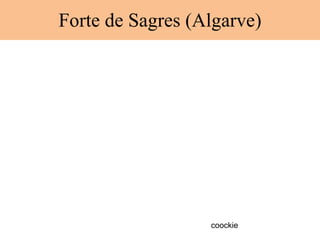 Forte de Sagres (Algarve) coockie 