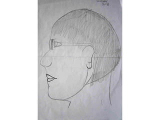 Retrats 13 lliça de vall