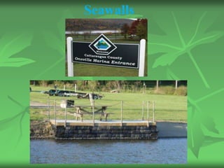 Seawalls
 