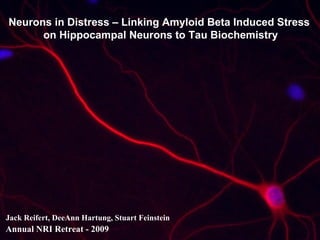 Jack Reifert, DeeAnn Hartung, Stuart Feinstein Neurons in Distress – Linking Amyloid Beta Induced Stress  on Hippocampal Neurons to Tau Biochemistry Annual NRI Retreat - 2009 