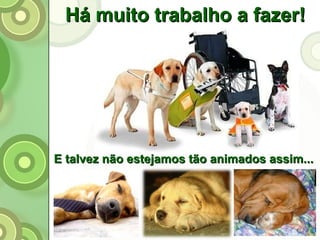 Há muito trabalho a fazer! E talvez não estejamos tão animados assim... 