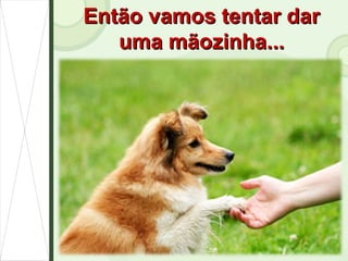 Então vamos tentar dar uma mãozinha... 