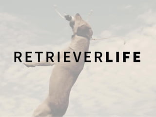 Retriever Life flipbook