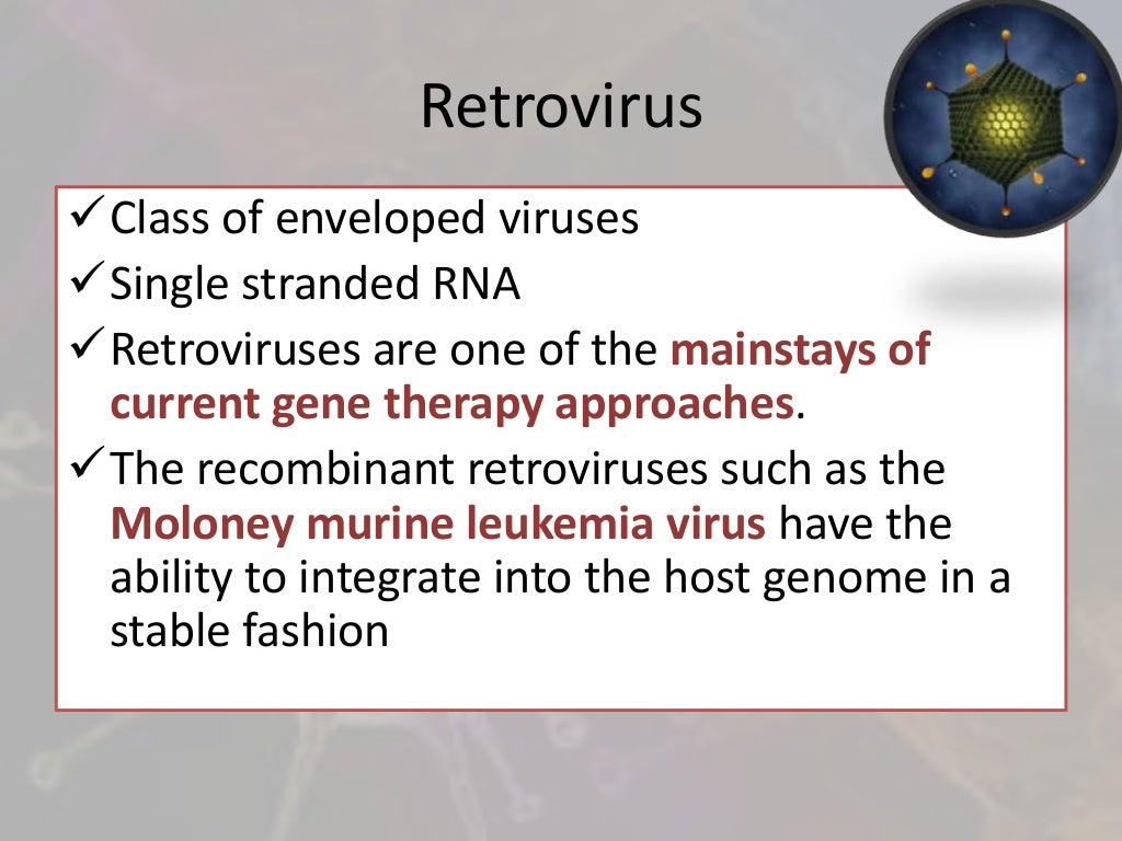 Retroviral Vectors