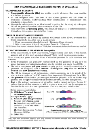 Page 1 of 3
MOLECULAR GENETICS | UNIT IV | Transposable elements in Drosophila | Copia
RNA TRANSPOSABLE ELEMENTS (COPIA) IN Drosophila
TRANSPOSABLE ELEMENTS
 Transposable elements (TEs) are mobile genetic elements that can mobilize
within host genomes.
 As TEs comprise more than 40% of the human genome and are linked to
numerous diseases, understanding their mechanisms of mobilization and
regulation is important.
 Drosophila melanogaster is an ideal model organism for the study of eukaryotic
TEs as its genome contains a diverse array of active TEs.
 Also referred to as “jumping genes,” TEs move, or transpose, to different locations
throughout the genomes in which they reside.
TYPES OF TRANSPOSABLE ELEMENTS
 The discovery of TEs in maize by Barbara McClintock in the 1940s, proposed that
these elements be classified into 2 major groups
1. Retro transposons (class I elements) – Example: Copia elements
2. DNA transposons (class II elements) – Example: P Element
NOTE: Within these groups, numerous families of TE (defined by sequence similarity) still many unclassified
RETRO TRANSPOSABLE ELEMENTS IN Drosophila
 Retro transposons, or RNA transposons, comprise more than 30% of the human
genome and are the most abundant class of TEs in the D. melanogaster genome.
 Retro transposon genes resemble those of retroviral genomes in both structure and
function.
 Retro transposons are primarily characterized by the presence of gag and pol
genes that may be overlapping and may also be encoded in a single fused ORF.
 The retro transposon pol gene encodes a poly protein, typically consisting of a
protease, an integrase, and a reverse transcriptase (RT) with an RNase H
domain and DNA polymerase activity.
 The RT is common to all autonomous retrotransposons, as it is required for
reverse transcription of the RNA intermediate to generate DNA copies of these TEs.
 The protease is involved in processing of precursor proteins, such as the Pol poly
protein. The integrase is required for insertion of cDNA into the host genome.
 Gag is the primary component of virus-like nucleo capsid particles, formed by
polymerization of Gag monomers, which provide a structural coat for components
involved in the reverse transcription event of retro transposon mobilization
Retro transposons include;
1. LTR (Long Terminal Repeat)
retro transposons
Example: Copia, Gypsy
2. Non-LTR (Non-Long Terminal
Repeat) retro transposons
 2a. Long Interspersed Nuclear
Elements (LINEs) and LINE-
like elements)
 2b. Short Interspersed Nuclear
Elements (SINEs)
3. Other TEs
Note: Some retro transposons contain a third gene encoding the retroviral envelope (env) protein necessary for
mobilization of retro elements outside of their host cells
 