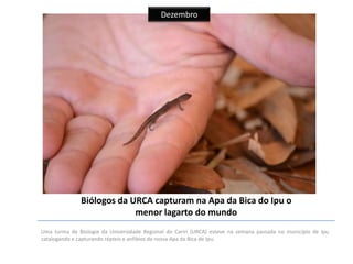 Dezembro

Biólogos da URCA capturam na Apa da Bica do Ipu o
menor lagarto do mundo
Uma turma de Biologia da Universidade Regional do Cariri (URCA) esteve na semana passada no município de Ipu
catalogando e capturando répteis e anfíbios de nossa Apa da Bica de Ipu.

 