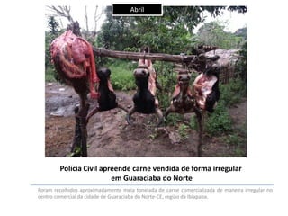 Abril

Polícia Civil apreende carne vendida de forma irregular
em Guaraciaba do Norte
Foram recolhidos aproximadamente meia tonelada de carne comercializada de maneira irregular no
centro comercial da cidade de Guaraciaba do Norte-CE, região da Ibiapaba.

 