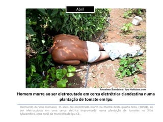 Abril

Homem morre ao ser eletrocutado em cerca eletrétrica clandestina numa
plantação de tomate em Ipu
Raimundo da Silva Damásio, 35 anos, foi encontrado morto na manhã desta quarta-feira, (10/04), ao
ser eletrocutado em uma cerca elétrica improvisada numa plantação de tomates no Sítio
Macambira, zona rural do município de Ipu-CE.

 