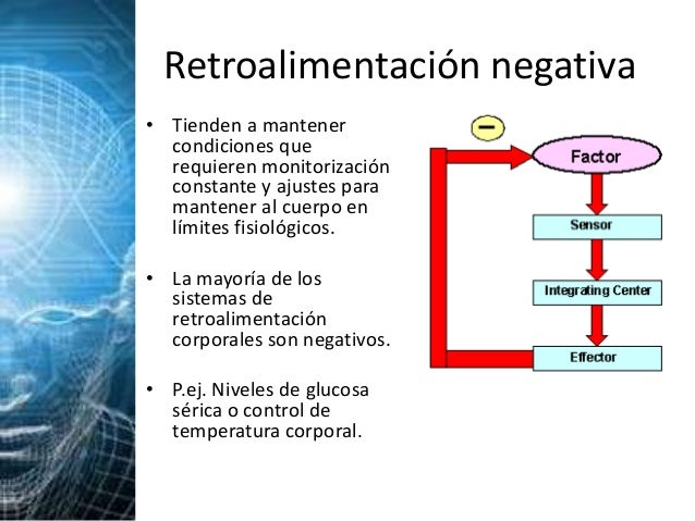 Resultado de imagen para realimentación positiva y negativa