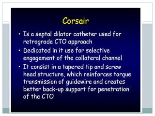 Penetration catheter
 
