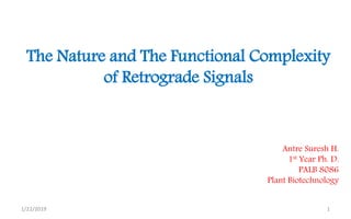 11/22/2019
The Nature and The Functional Complexity
of Retrograde Signals
Antre Suresh H.
1st Year Ph. D.
PALB 8086
Plant Biotechnology
 