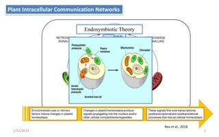 Plant Intracellular Communication Networks
21/22/2019
Rea et al., 2018
Endosymbiotic Theory
 