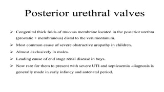 Retrogram Retrogrphy Retrograde urethrography (RGU) and MCU.pptx