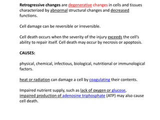 Retrogressive changes are degenerative changes in cells and tissues
characterized by abnormal structural changes and decreased
functions.
Cell damage can be reversible or irreversible.
Cell death occurs when the severity of the injury exceeds the cell’s
ability to repair itself. Cell death may occur by necrosis or apoptosis.
CAUSES:
physical, chemical, infectious, biological, nutritional or immunological
factors.
heat or radiation can damage a cell by coagulating their contents.
Impaired nutrient supply, such as lack of oxygen or glucose,
impaired production of adenosine triphosphate (ATP) may also cause
cell death.
 