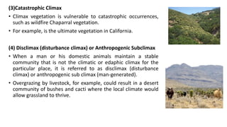 (3)Catastrophic Climax
• Climax vegetation is vulnerable to catastrophic occurrences,
such as wildfire Chaparral vegetation.
• For example, is the ultimate vegetation in California.
(4) Disclimax (disturbance climax) or Anthropogenic Subclimax
• When a man or his domestic animals maintain a stable
community that is not the climatic or edaphic climax for the
particular place, it is referred to as disclimax (disturbance
climax) or anthropogenic sub climax (man-generated).
• Overgrazing by livestock, for example, could result in a desert
community of bushes and cacti where the local climate would
allow grassland to thrive.
 