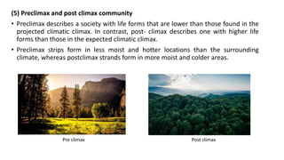 (5) Preclimax and post climax community
• Preclimax describes a society with life forms that are lower than those found in the
projected climatic climax. In contrast, post- climax describes one with higher life
forms than those in the expected climatic climax.
• Preclimax strips form in less moist and hotter locations than the surrounding
climate, whereas postclimax strands form in more moist and colder areas.
Pre climax Post climax
 