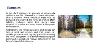 Examples:
In the plant kingdom, an example of community
resilience can be observed in a forest ecosystem
after a wildfire. While individual trees may be
damaged or destroyed, the forest as a whole often
exhibits resilience. Some tree species have
adapted to survive and even thrive in fire-prone
environments.
Additionally, the remaining plants and shrubs can
help prevent soil erosion, and their seeds can
quickly germinate and regrow, gradually restoring
the forest ecosystem. This demonstrates how plant
communities adapt and recover collectively in the
face of natural disturbances.
 
