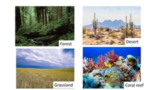 Forest Desert
Grassland Coral reef
 