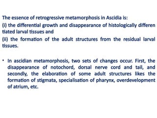RETROGRESSIVEMETAMORPHOSIS.ppt Metamorphosis | PPTX