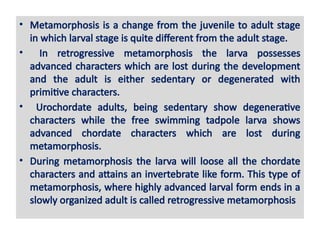 RETROGRESSIVEMETAMORPHOSIS.ppt Metamorphosis | PPTX