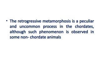RETROGRESSIVEMETAMORPHOSIS.ppt Metamorphosis | PPTX