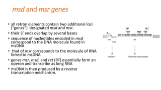 retron bacteriaaaaaaaaaaaaaaaaaaaaaaaaaa | PDF