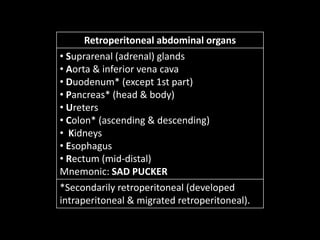 Retroperitoneal abdominal organs
• Suprarenal (adrenal) glands
• Aorta & inferior vena cava
• Duodenum* (except 1st part)
• Pancreas* (head & body)
• Ureters
• Colon* (ascending & descending)
• Kidneys
• Esophagus
• Rectum (mid-distal)
Mnemonic: SAD PUCKER
*Secondarily retroperitoneal (developed
intraperitoneal & migrated retroperitoneal).
 