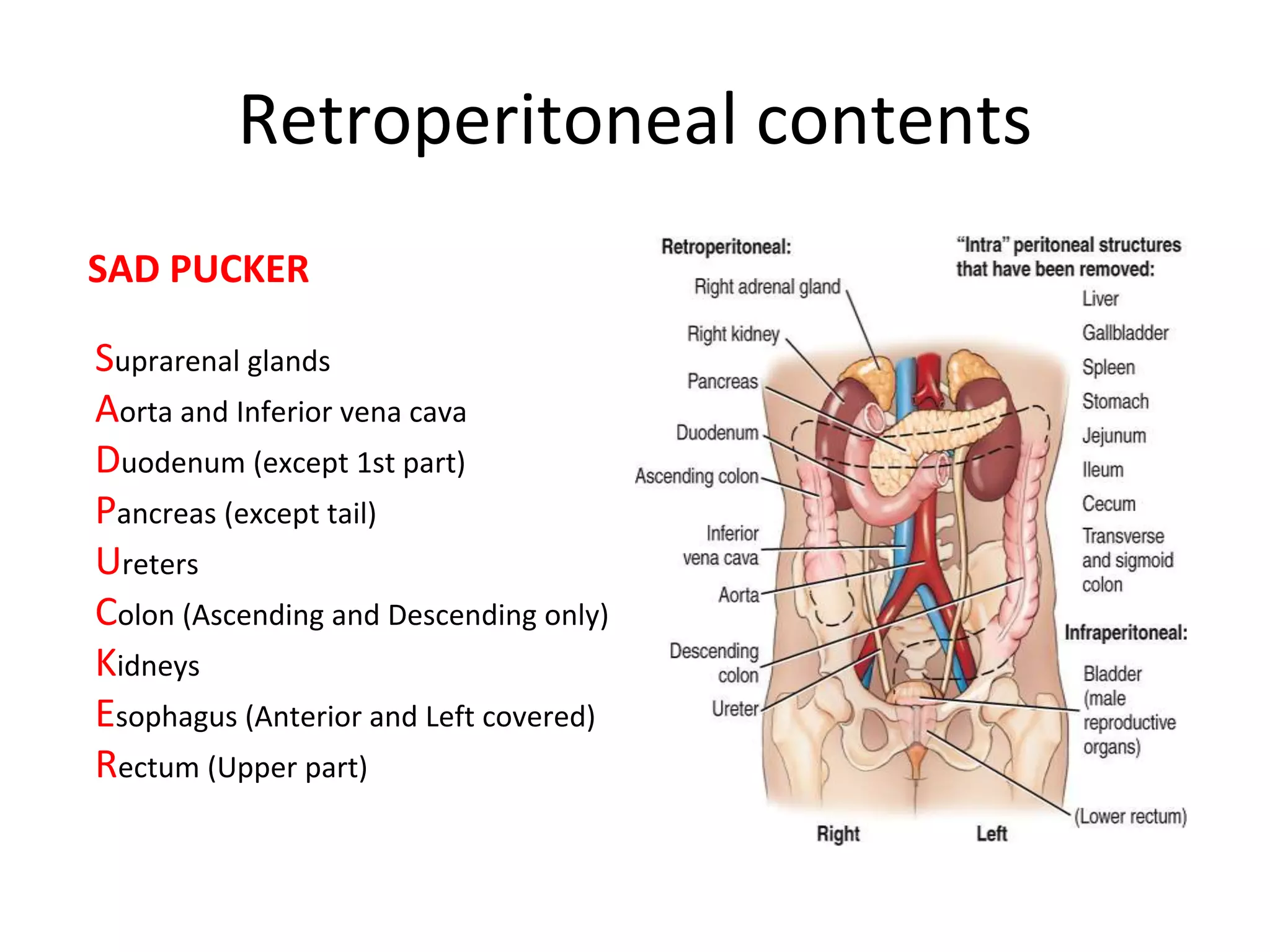 Retroperitoneal mass.pptx