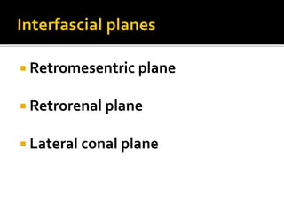 Retroperitoneal space | PPTX