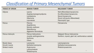 Classification of Primary Mesenchymal Tumors
11
 