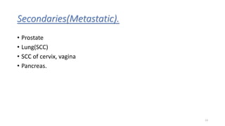 Secondaries(Metastatic).
• Prostate
• Lung(SCC)
• SCC of cervix, vagina
• Pancreas.
13
 