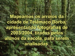 Mapeamos os arroios da cidade de Telêmaco Borba, apresentando fotografias de 2003/2004, tiradas pelos alunos da escola, para serem analisadas. 