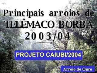 Principais arroios de  TELÊMACO BORBA 2003/04 PROJETO CAIUBI/2004 Arroio do Ouro 