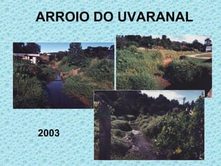 ARROIO DO UVARANAL 2003 