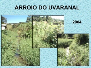 ARROIO DO UVARANAL 2004 