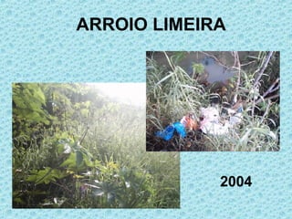 ARROIO LIMEIRA 2004 
