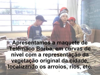 Apresentamos a maquete de Telêmaco Borba, em curvas de nível com a representação da vegetação original da cidade, localizando os arroios, rios, etc . 