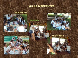 AULAS DIFERENTES PIQUENIQUE PRACINHA AREA PITDOG 