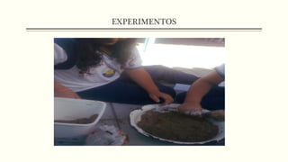 EXPERIMENTOS
 